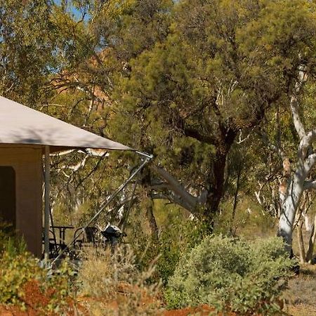 Squeakywindmill Boutique Tent B&B Alice Springs Exterior foto